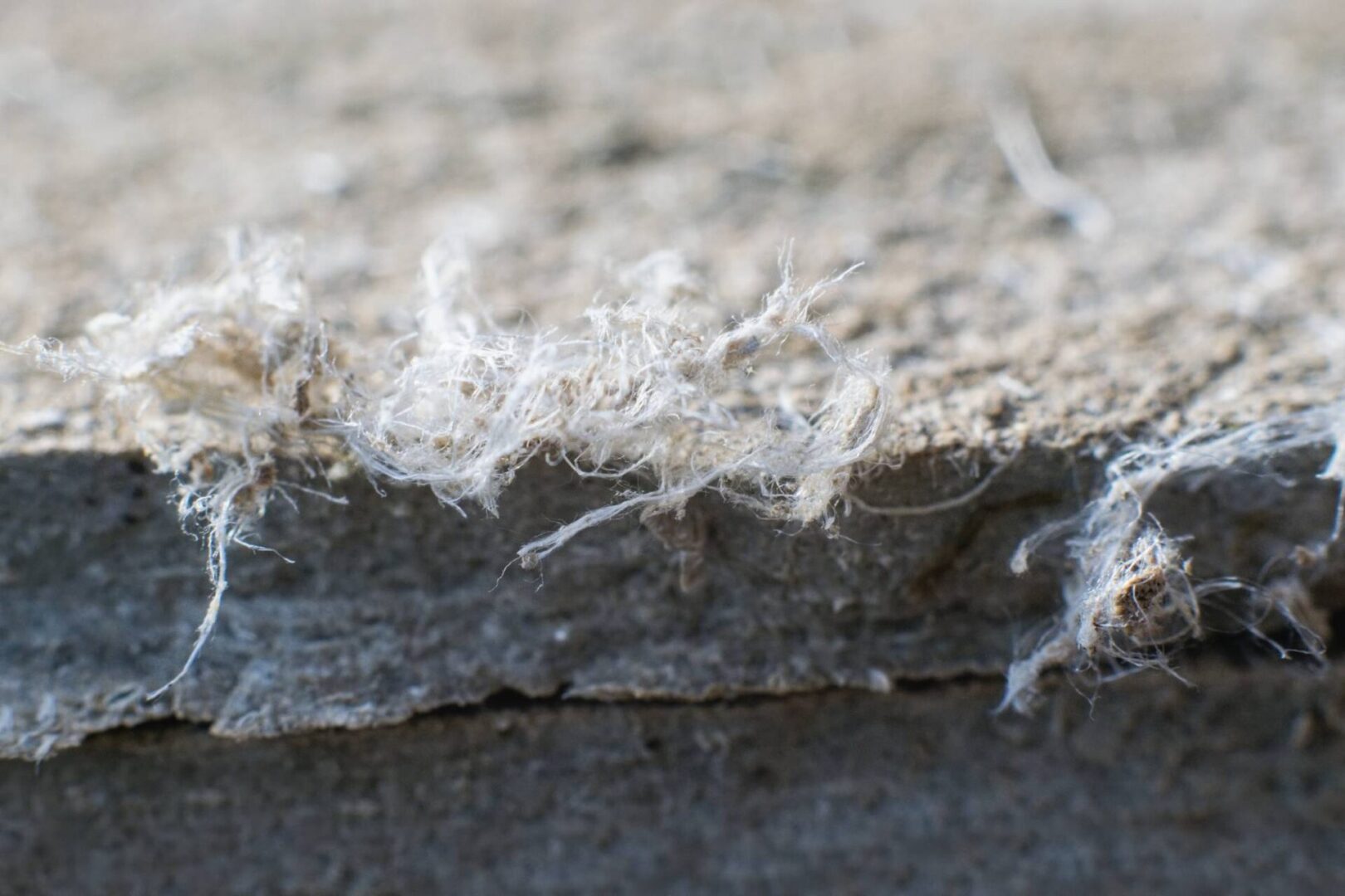 Close-up of asbestos fibers on material.