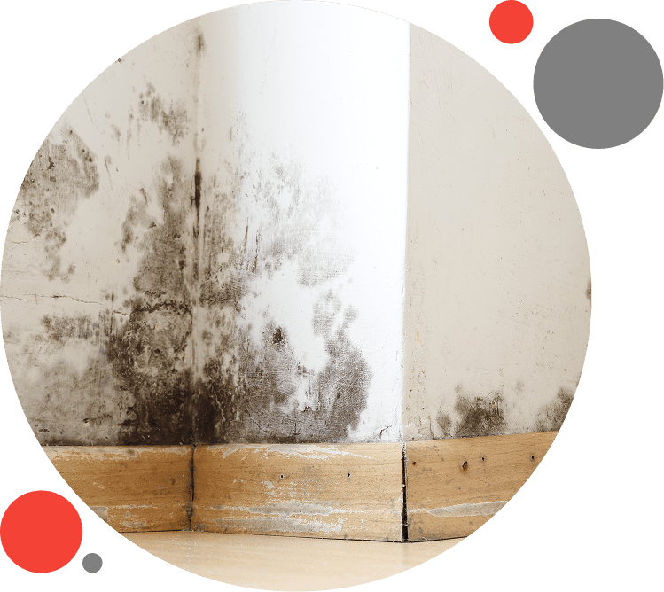 8 A wall with black spots on it and white walls