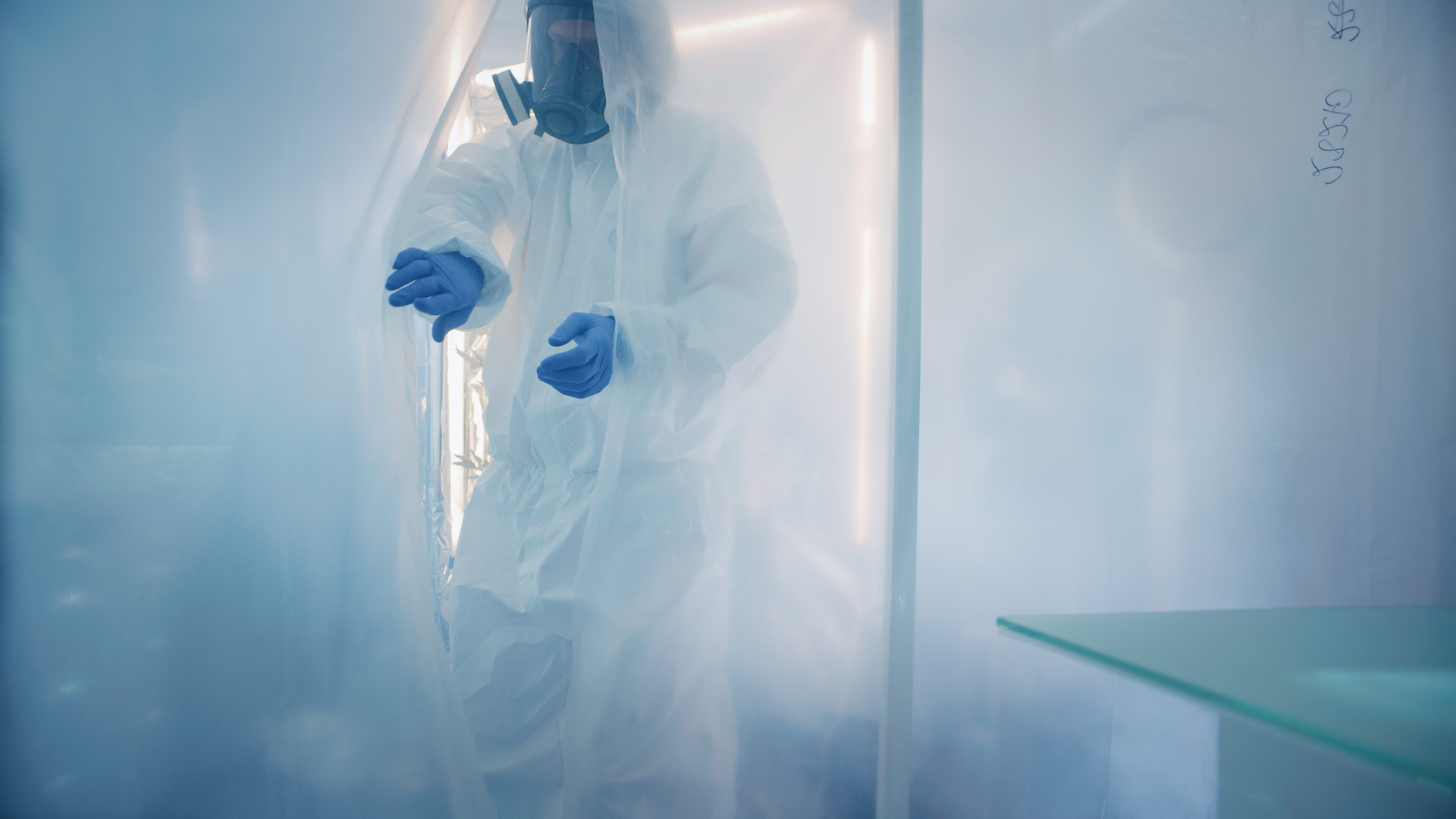 Asbestos Testing & Removal