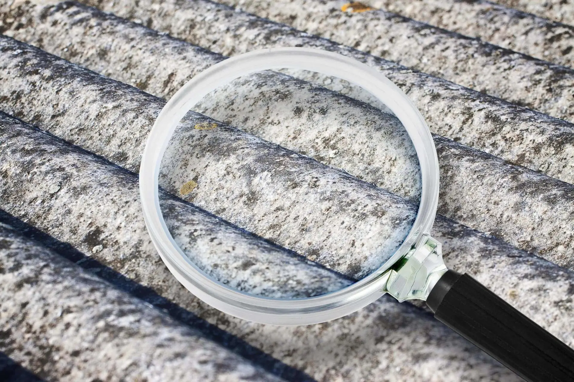 A magnifying glass is on the ground